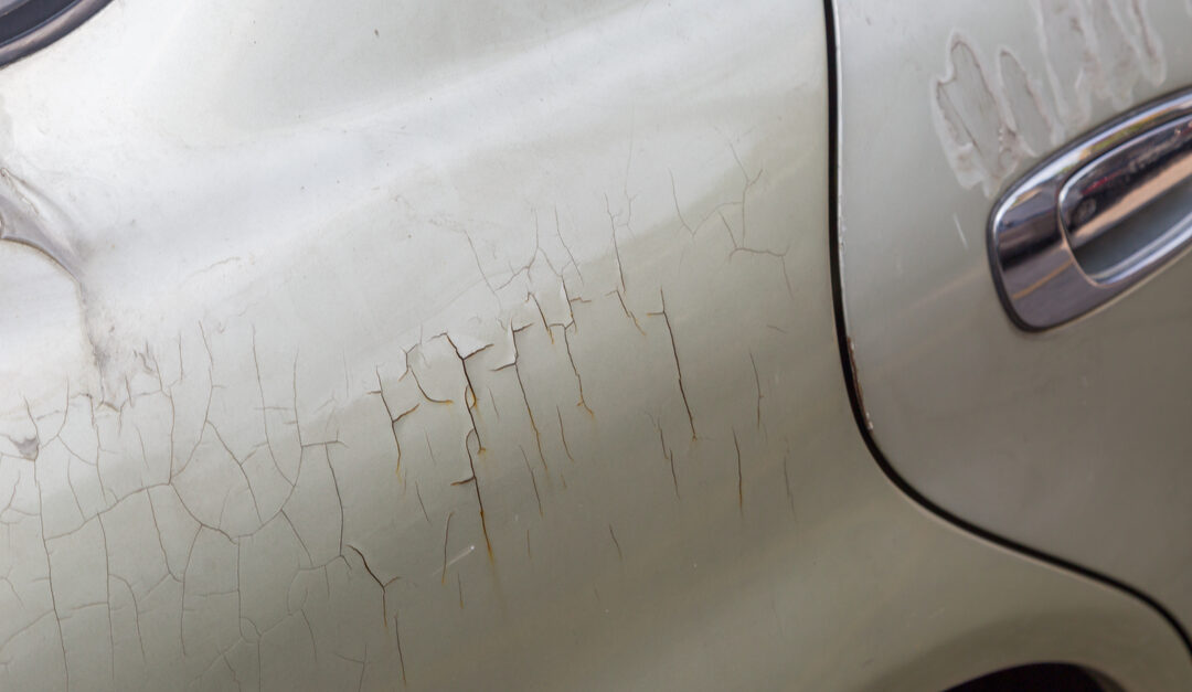 Surprising Ways Your Vehicle’s Paint May be Damaged